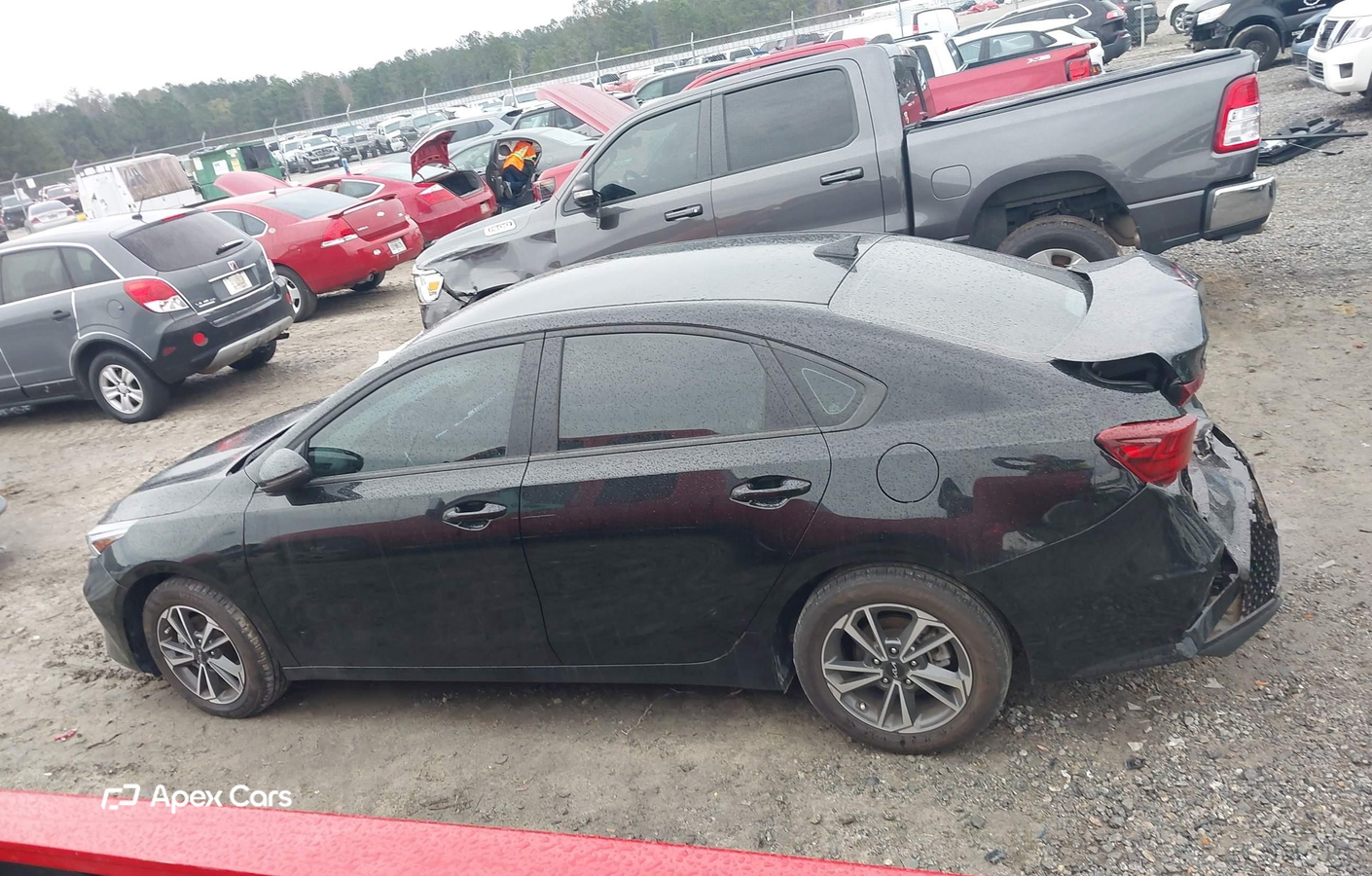 Kia Forte 2024