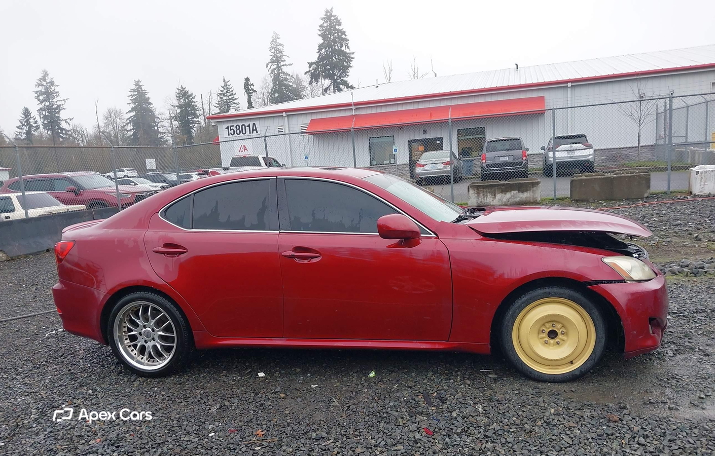 Lexus IS 2008