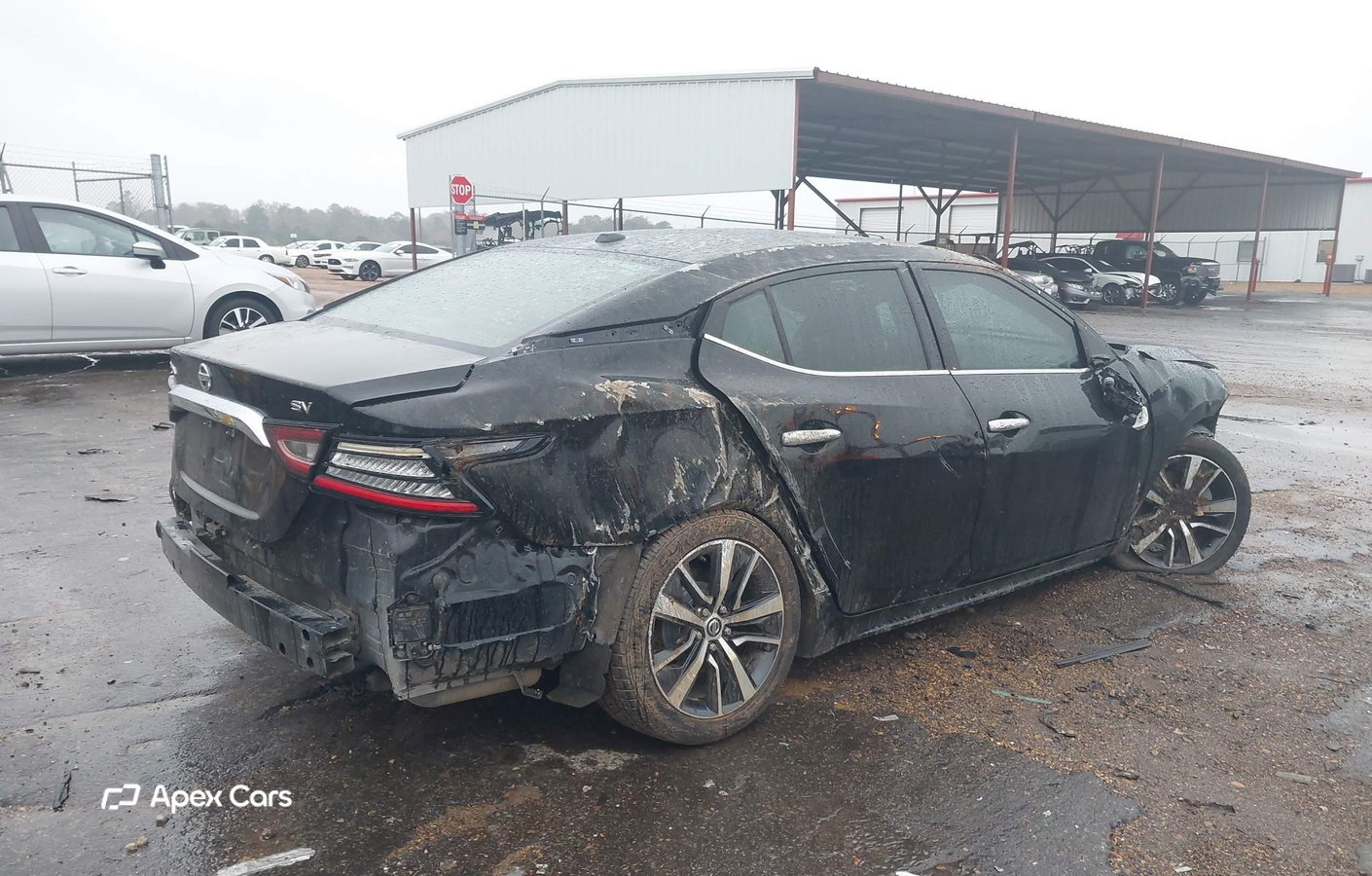 Nissan Maxima 2019