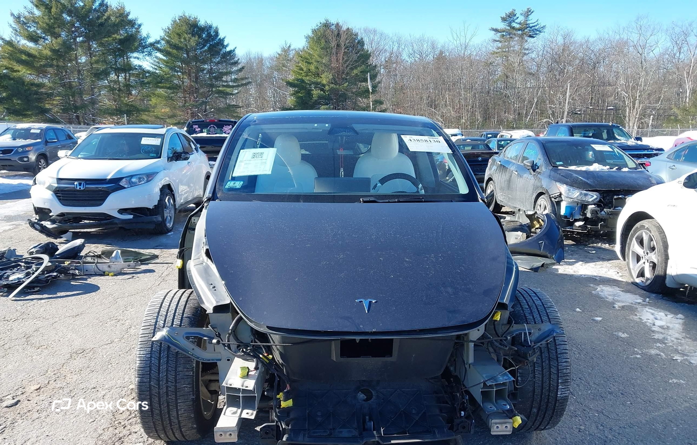 Tesla Model Y 2021