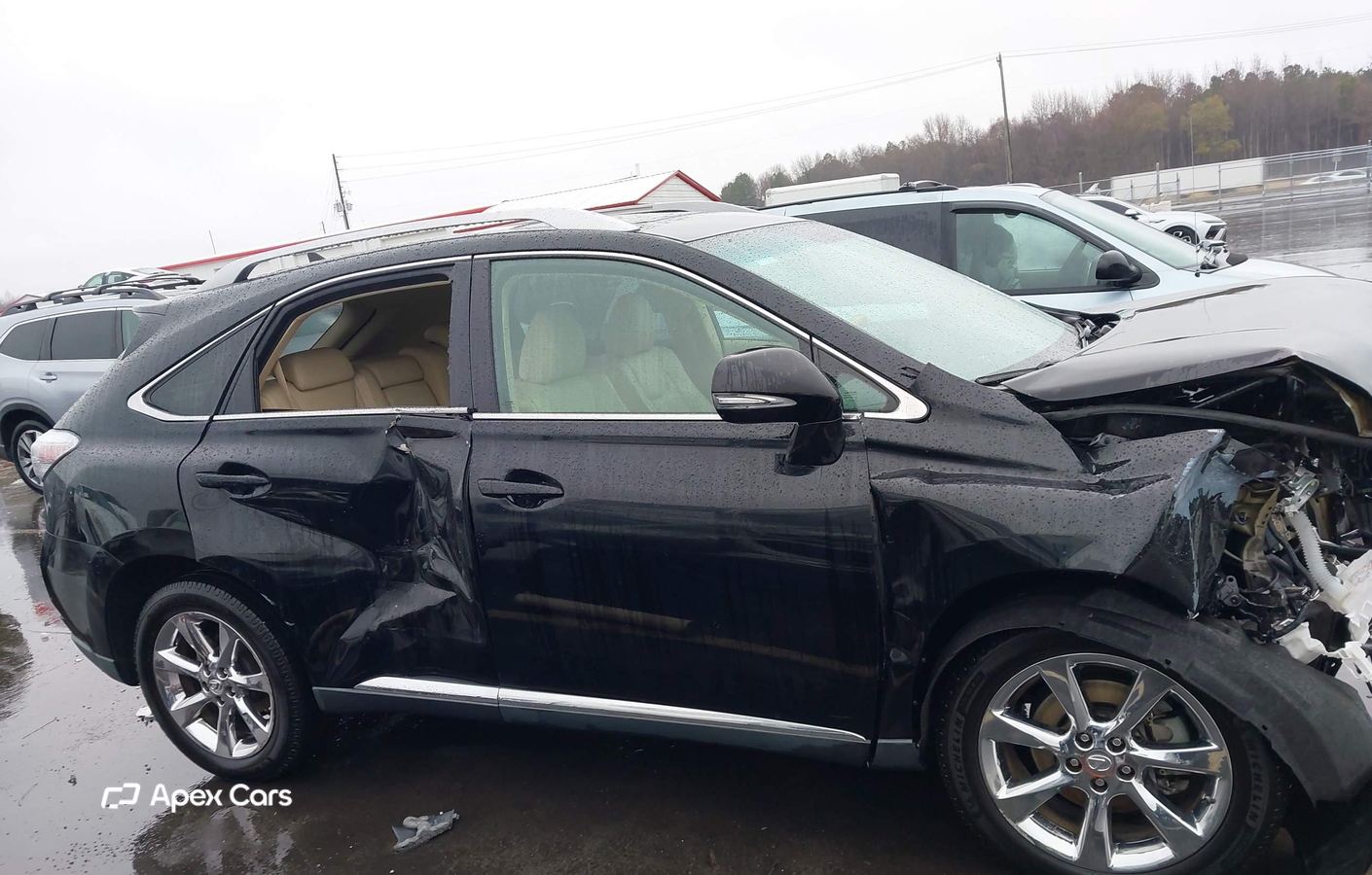 Lexus RX 2010