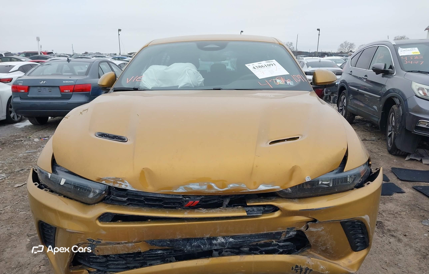 Dodge Hornet 2024