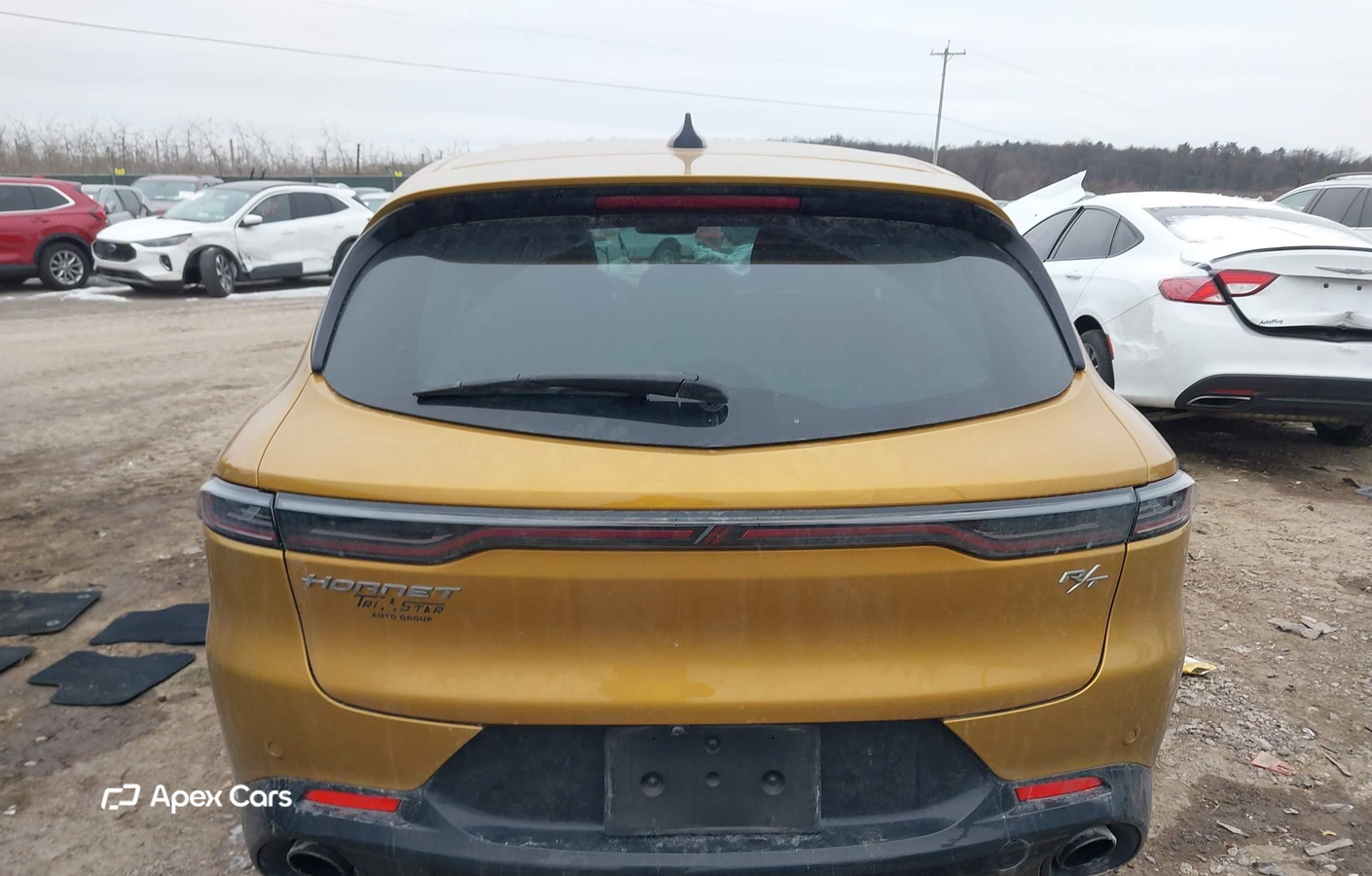 Dodge Hornet 2024