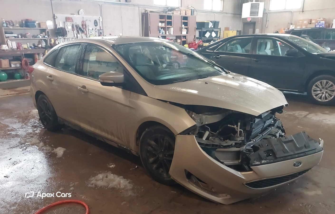 Ford Focus 2017