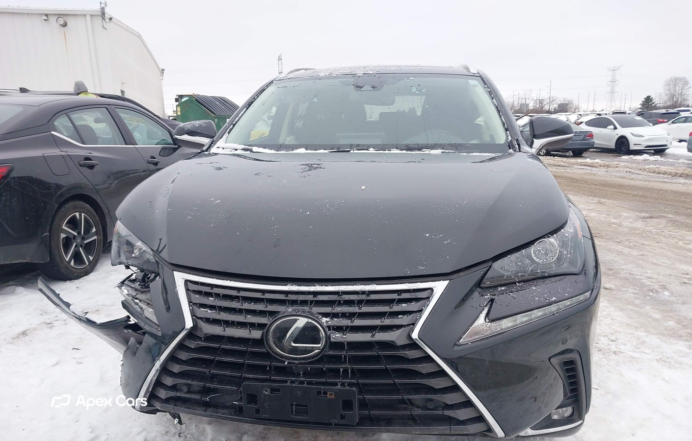 Lexus NX 2021