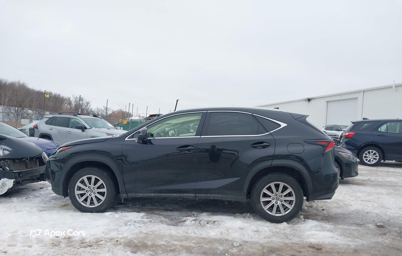 Lexus NX 2021