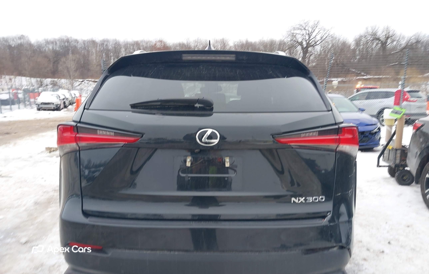 Lexus NX 2021