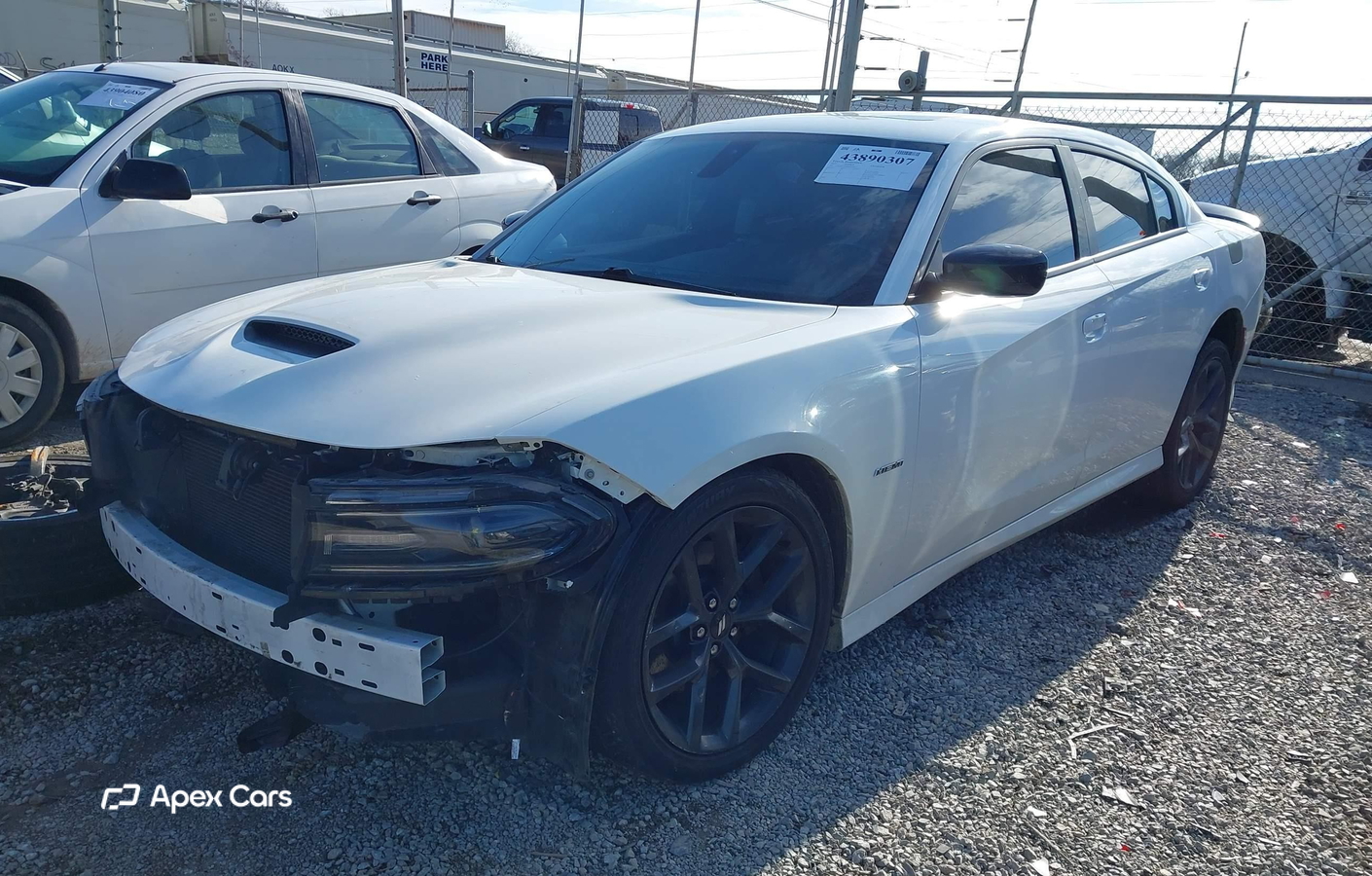 Dodge Charger 2019