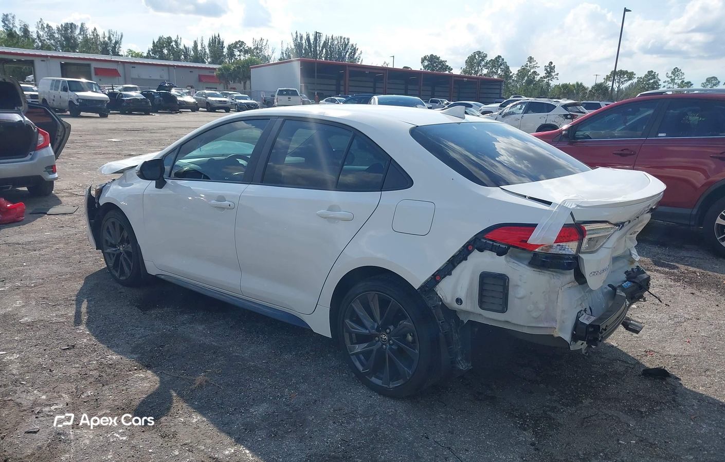 Toyota Corolla 2024