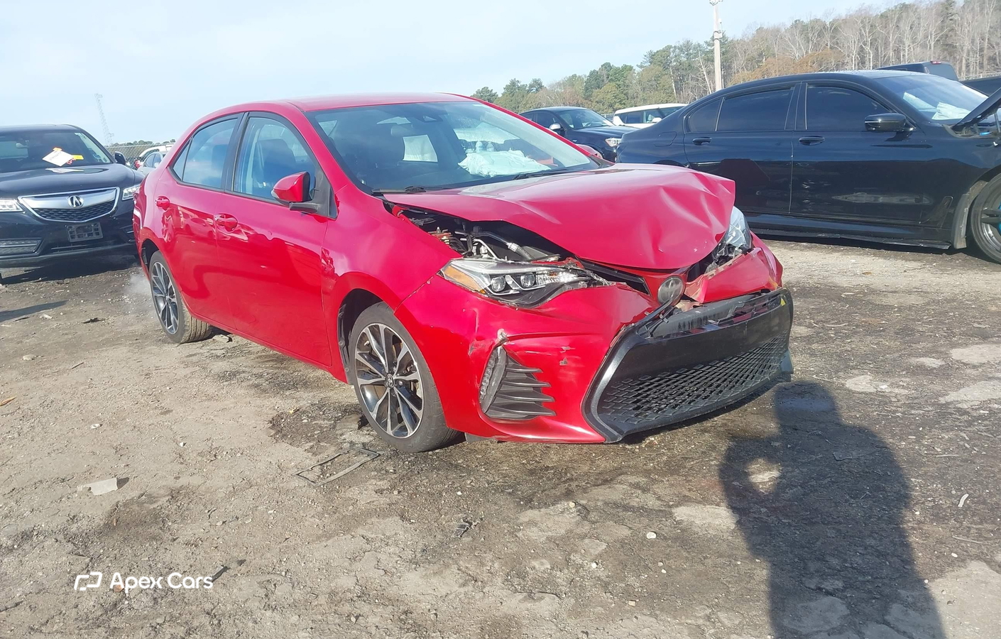 Toyota Corolla 2019