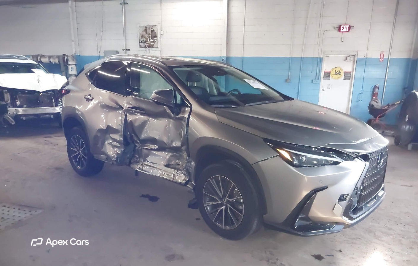 Lexus NX 2024