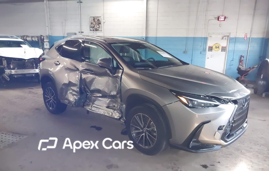 Lexus NX 2024 - Image 1 of 16