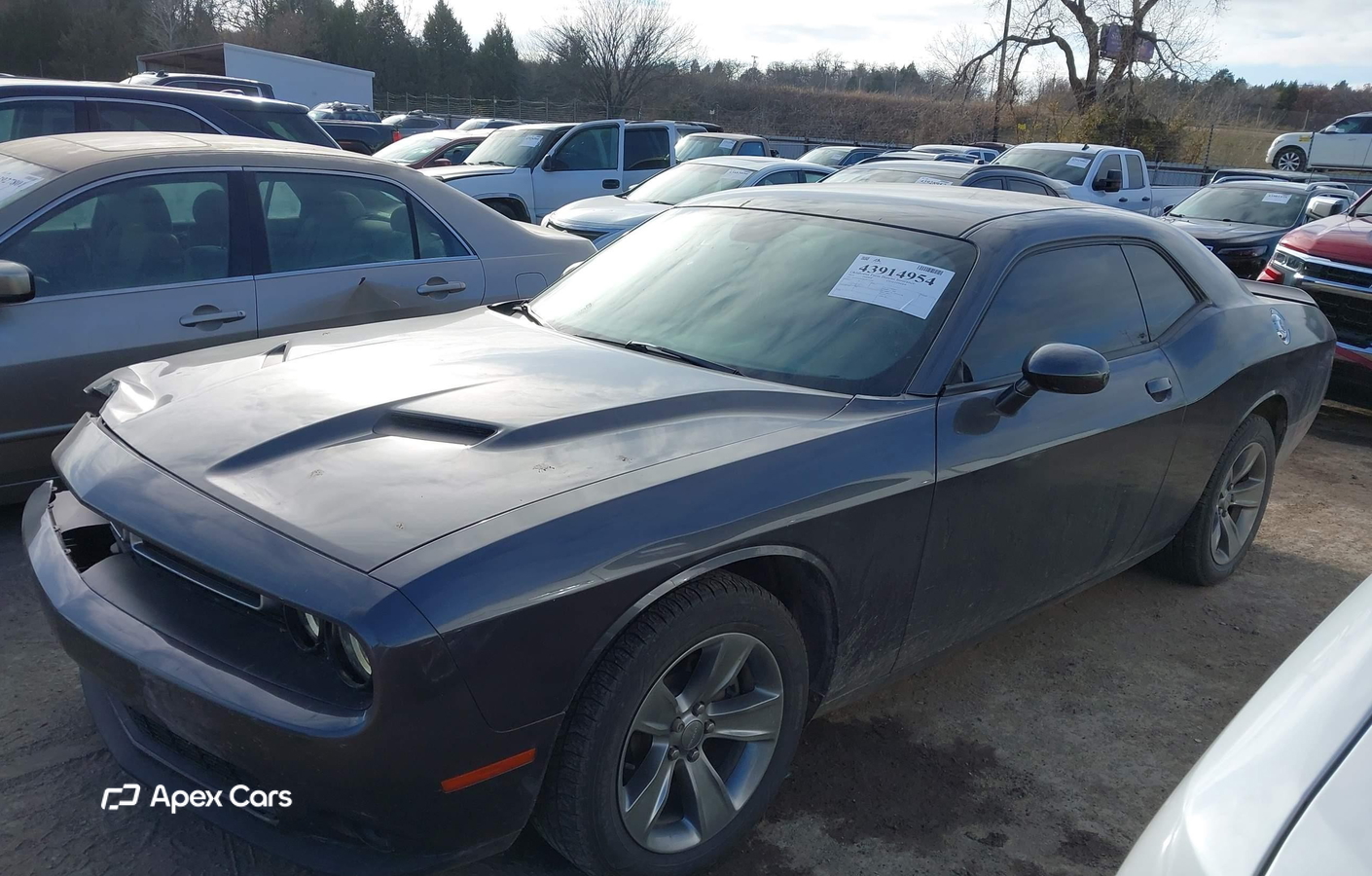 Dodge Challenger 2019