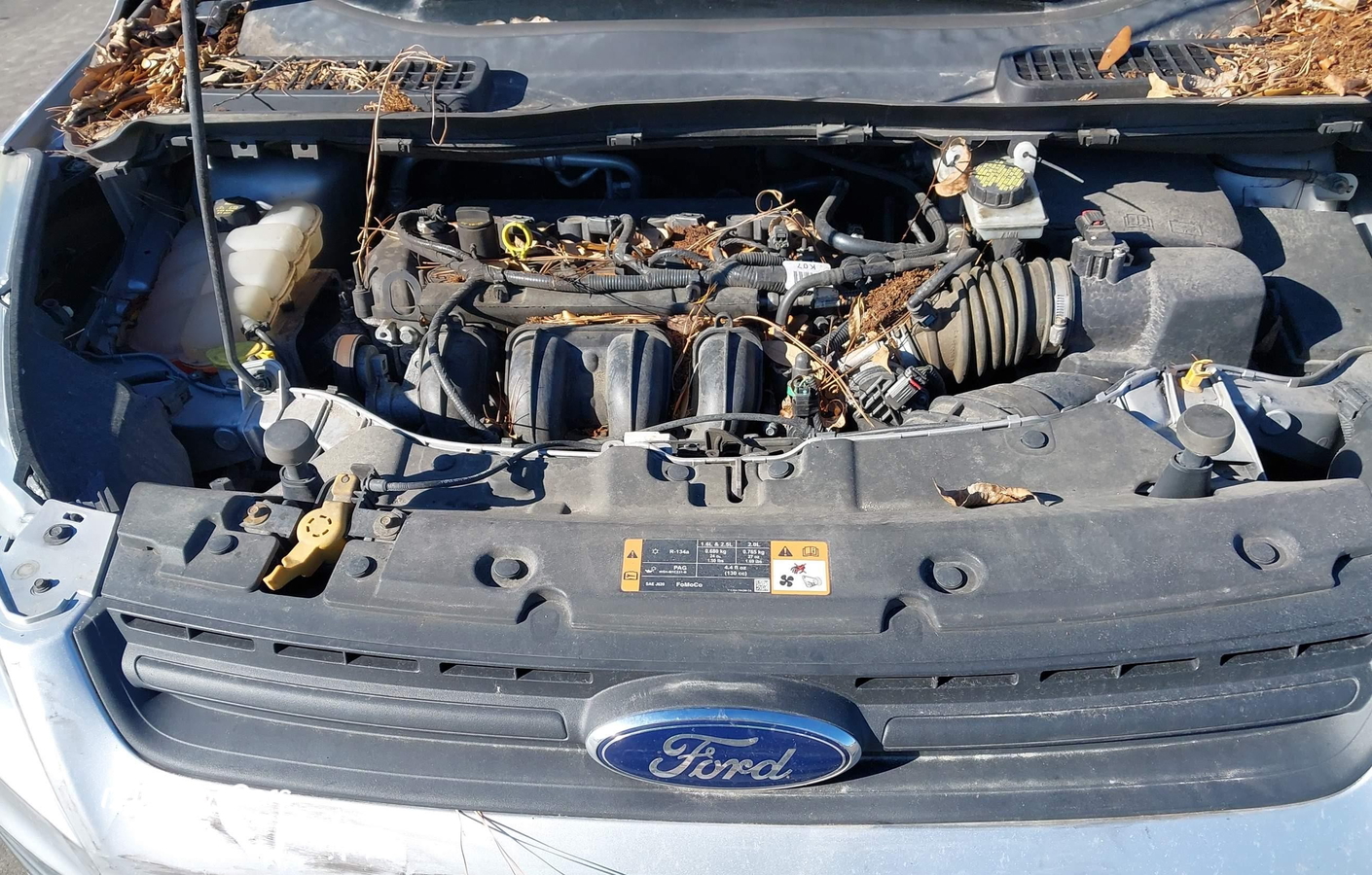 Ford Escape 2016