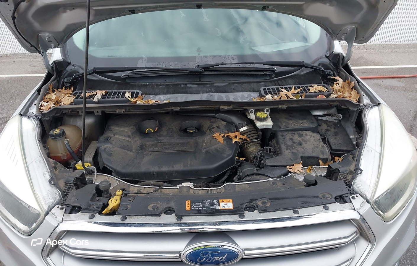 Ford Escape 2017