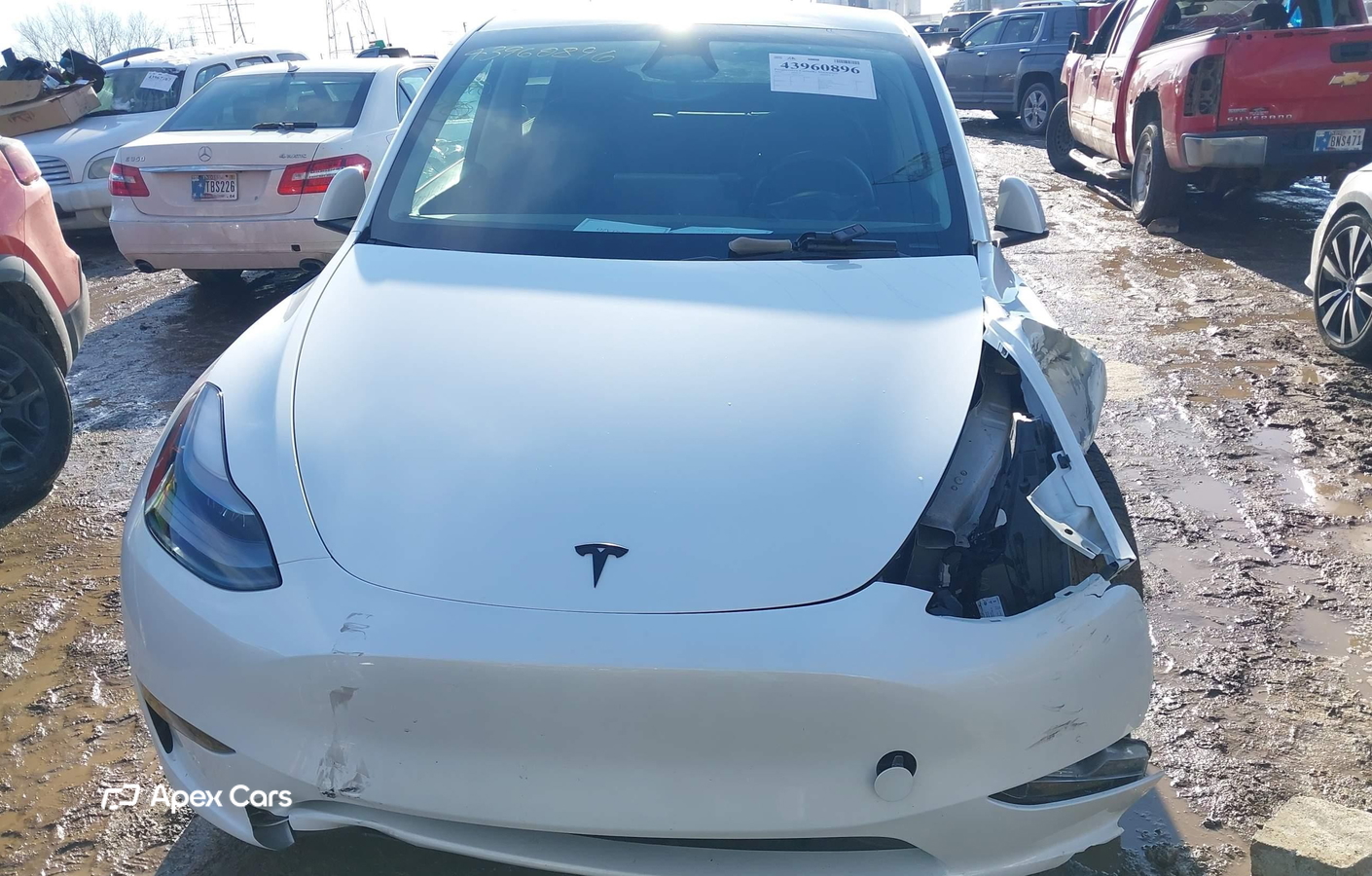 Tesla Model Y 2024