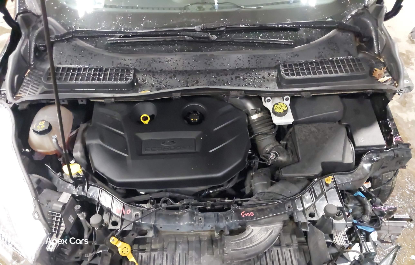 Ford Escape 2019