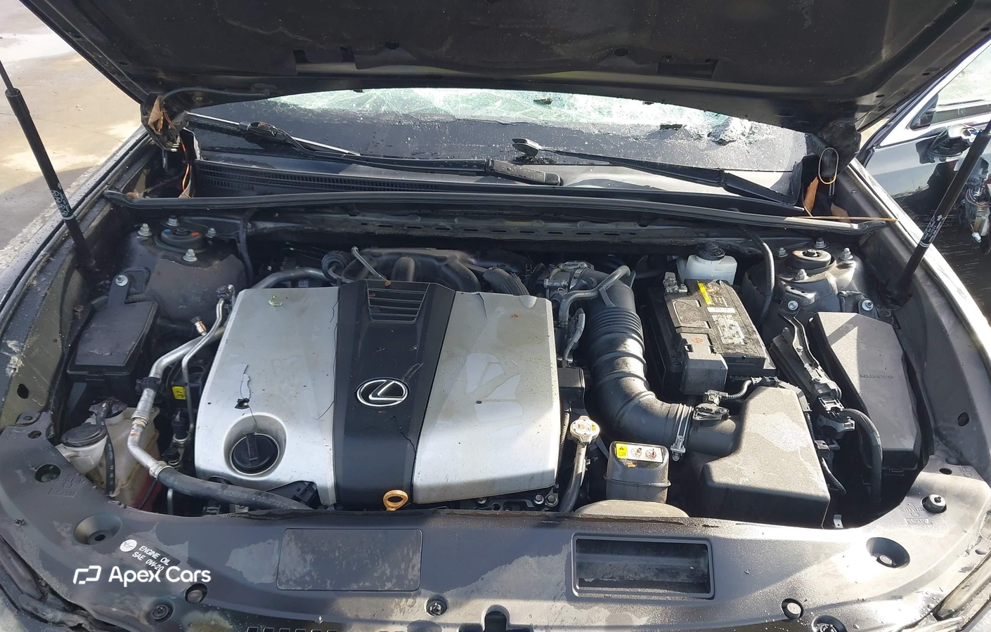 Lexus ES 2020