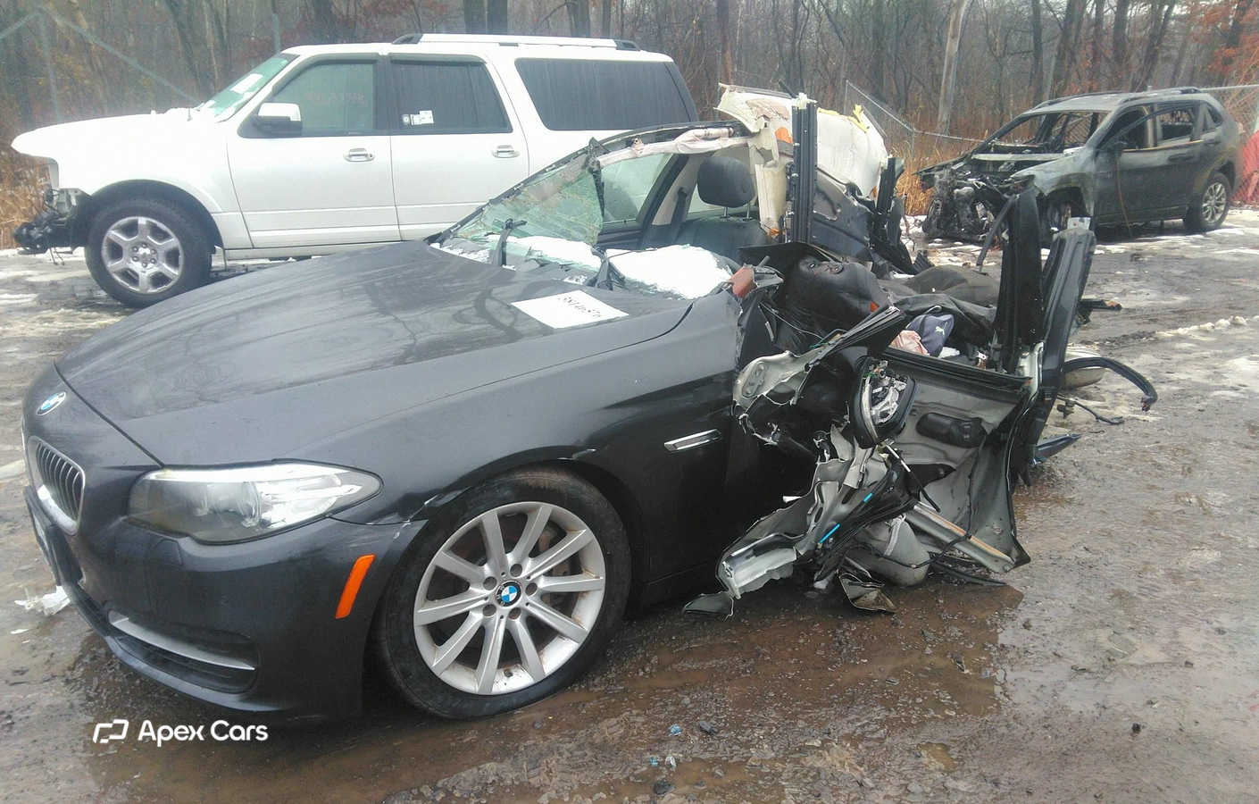 BMW Series 5 2014