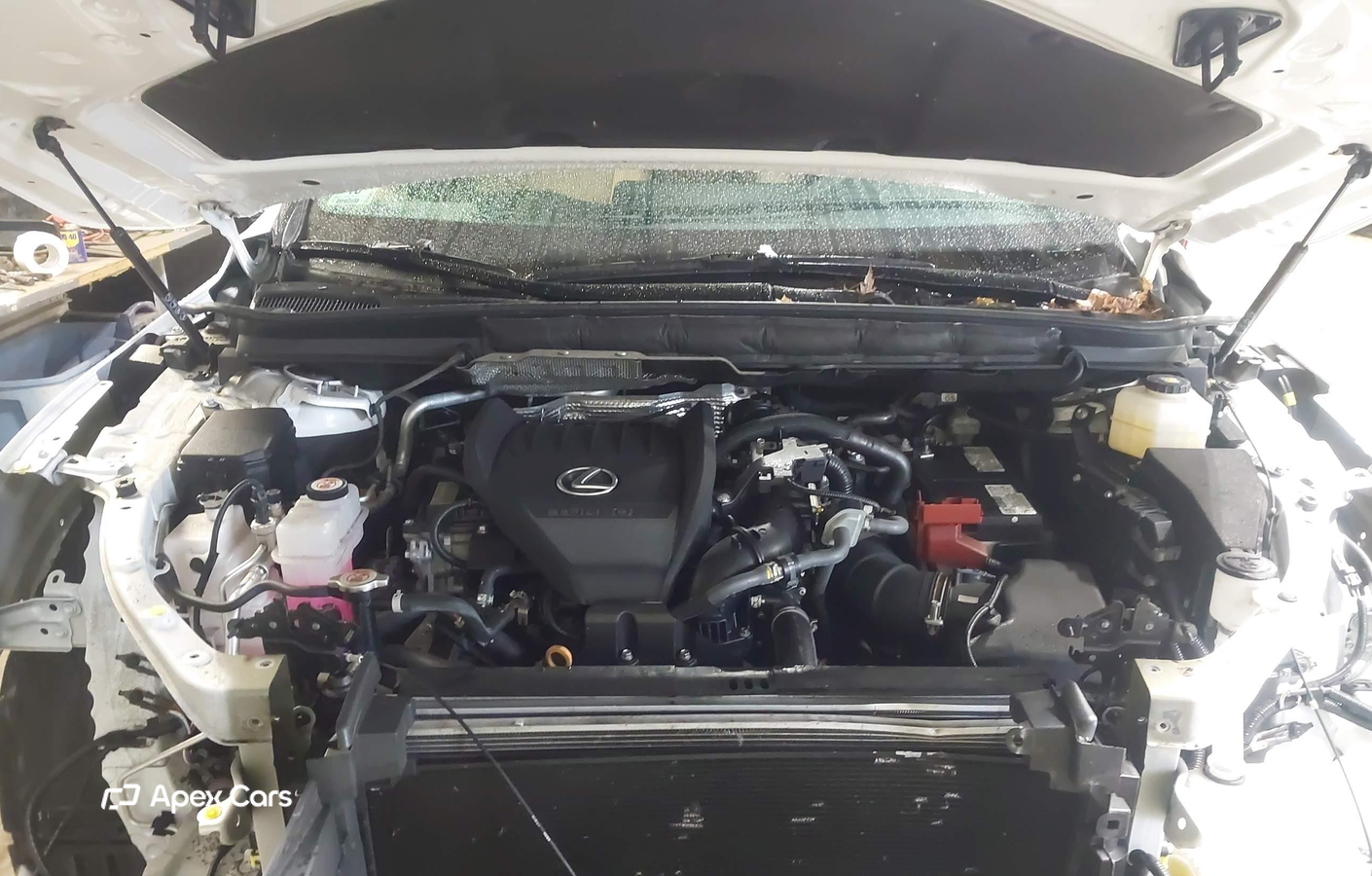Lexus RX 2024