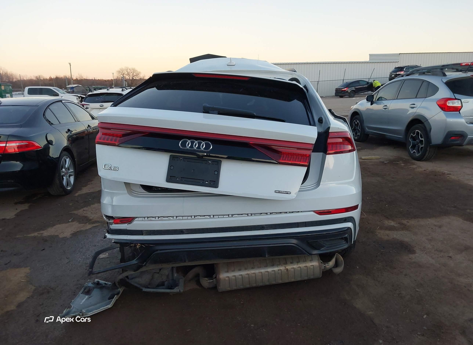 Audi Q8 2021