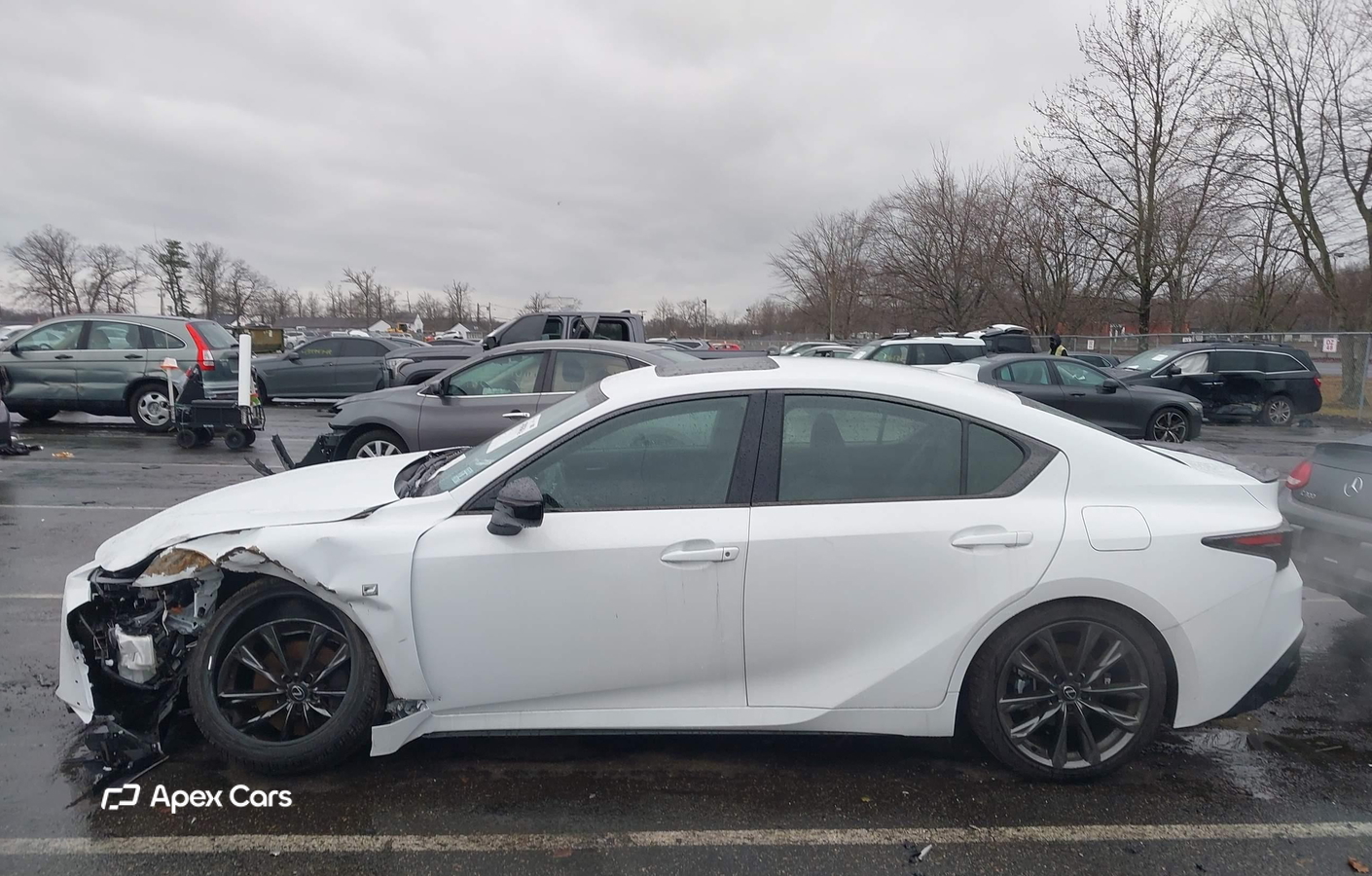 Lexus IS 2025