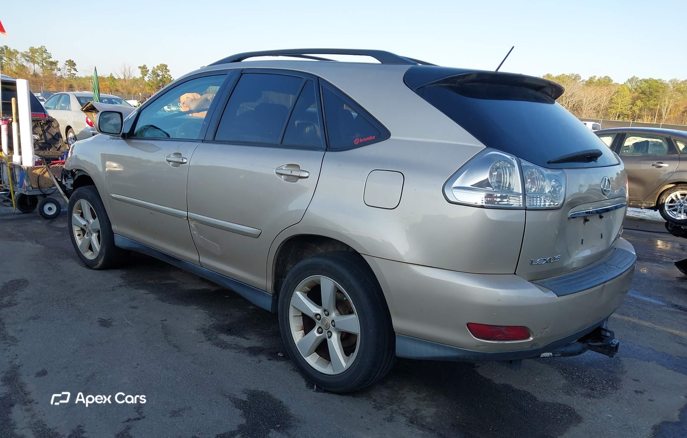 Lexus RX 2004