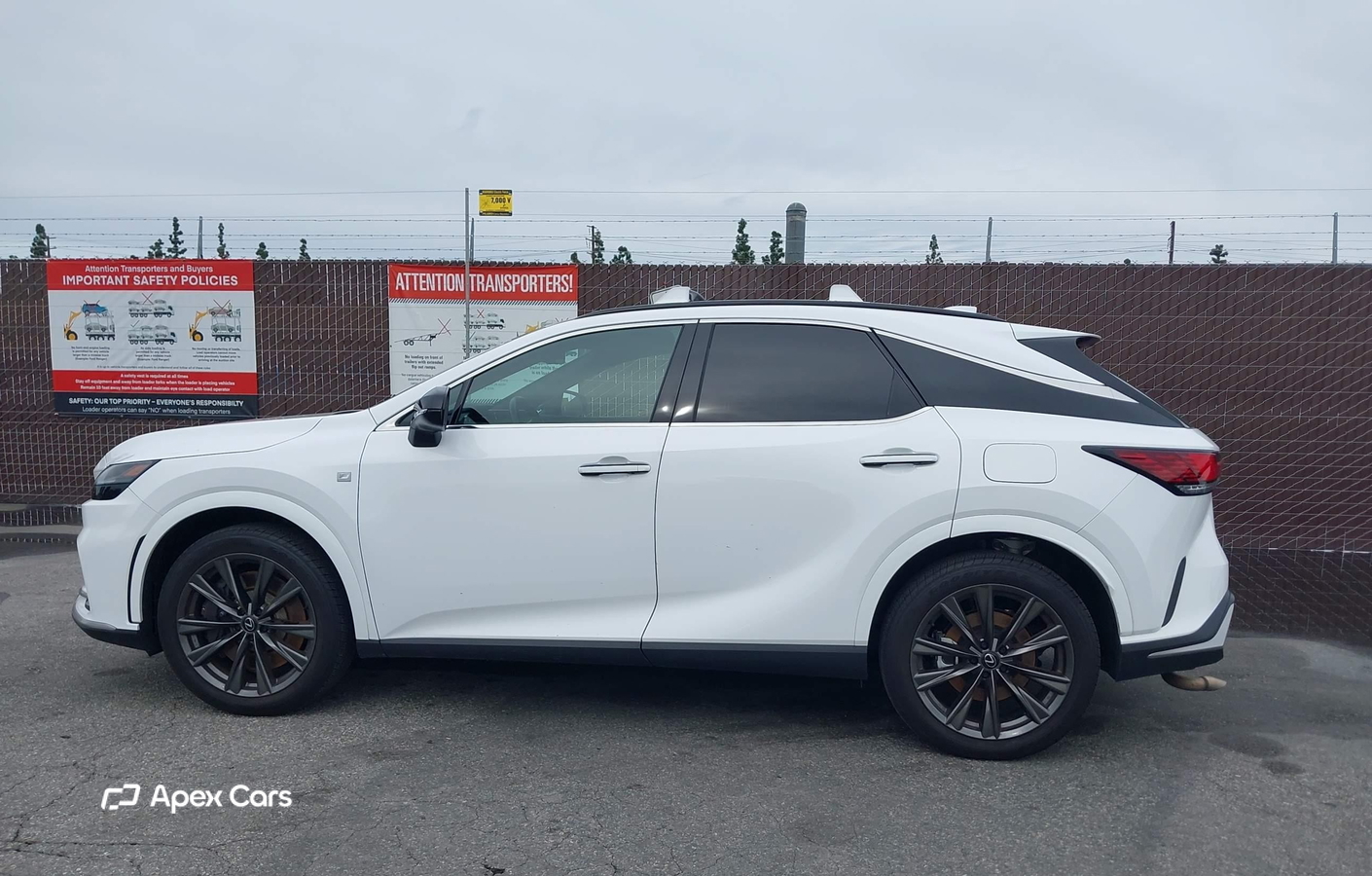 Lexus RX 2023