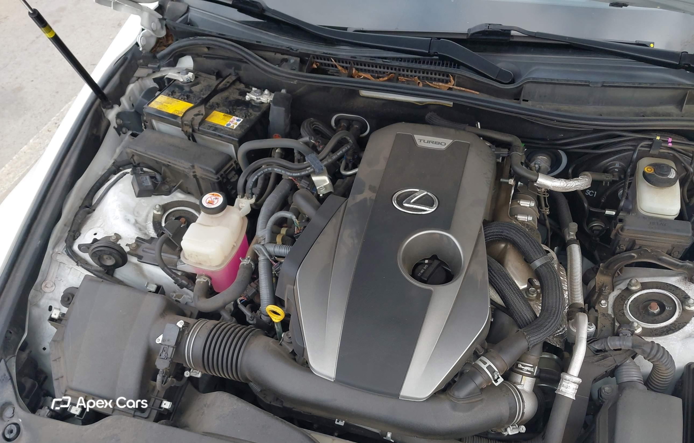 Lexus IS 2020