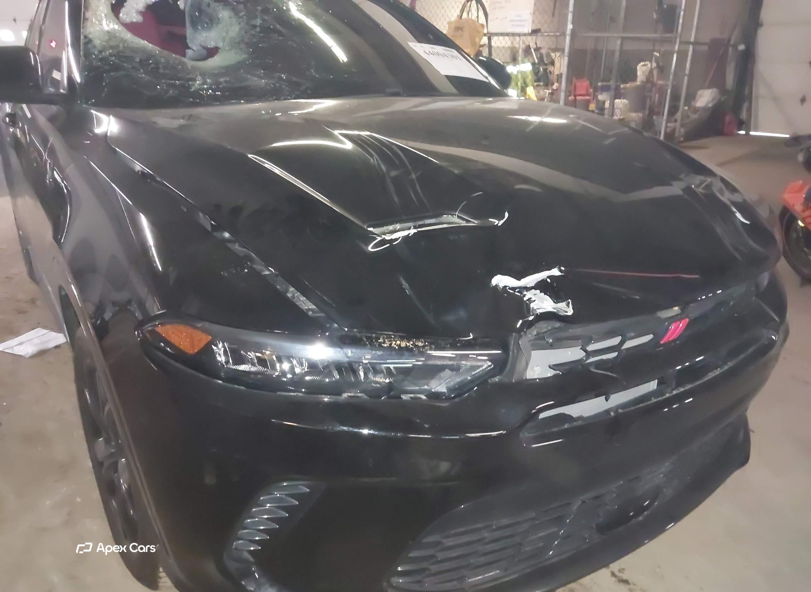 Dodge Hornet 2024