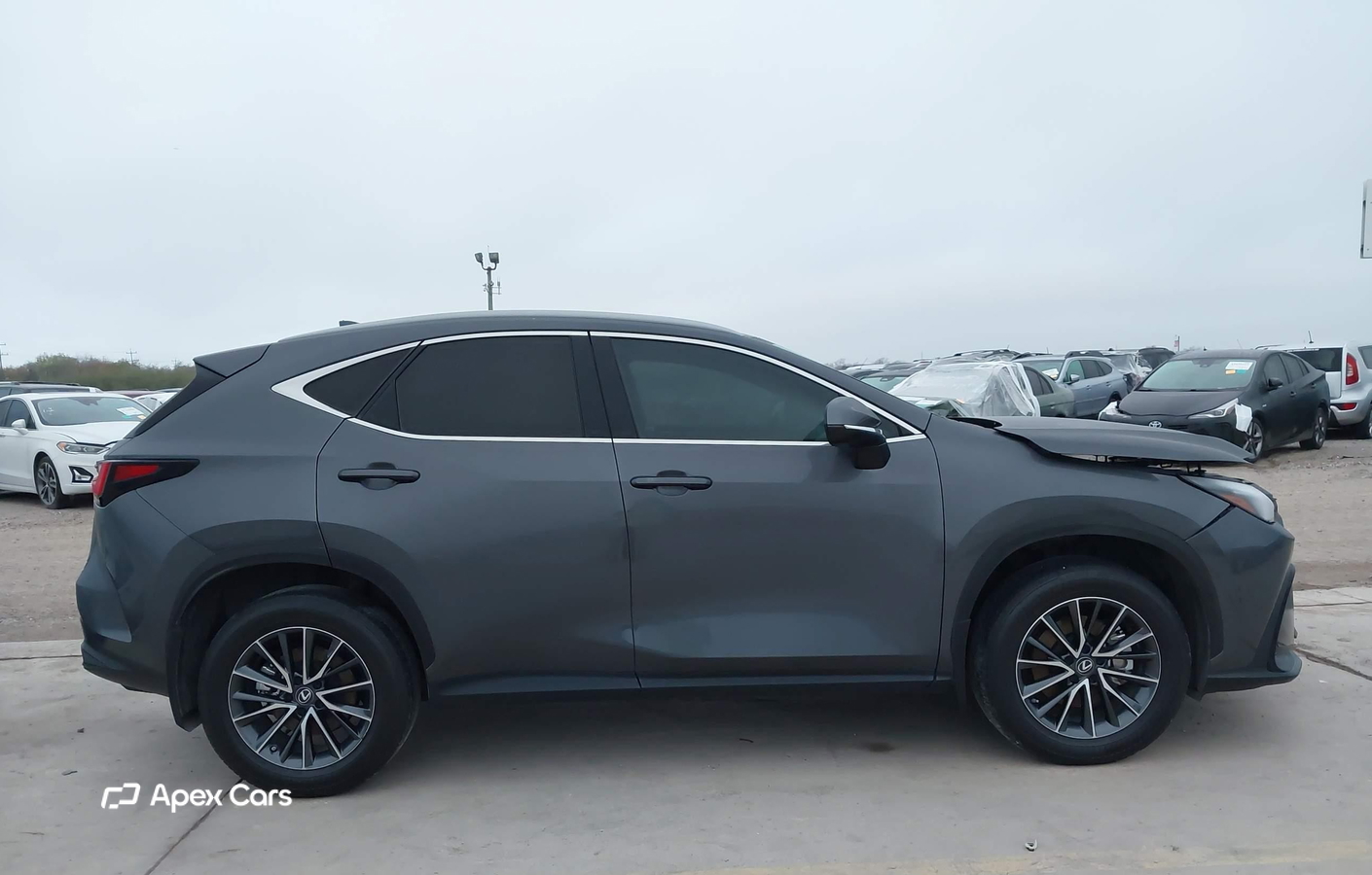 Lexus NX 2022