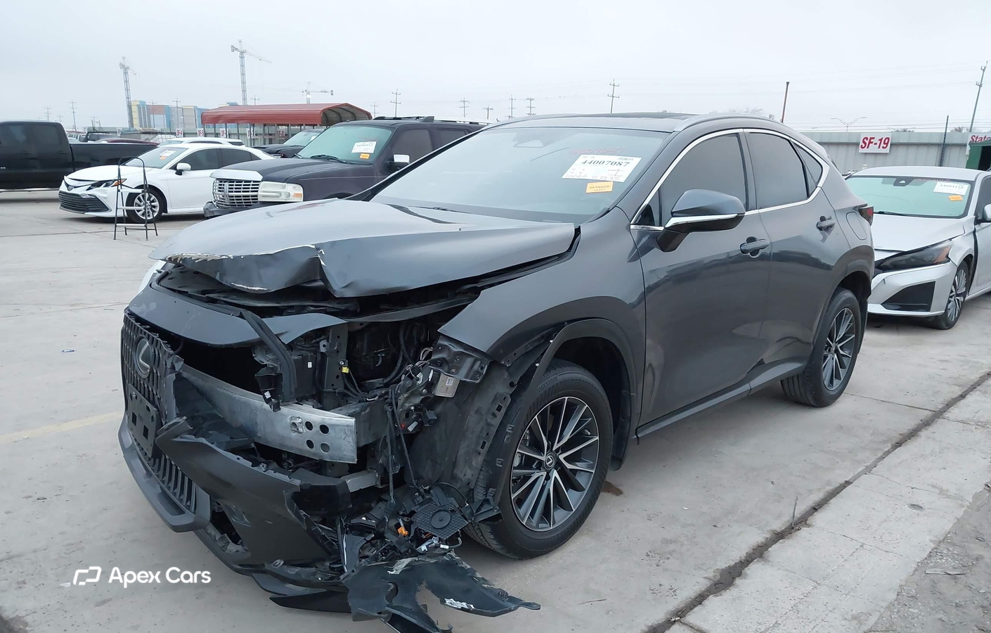 Lexus NX 2022