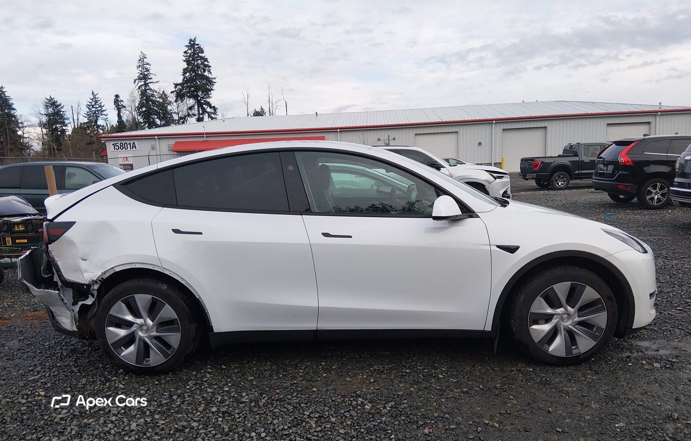 Tesla Model Y 2024