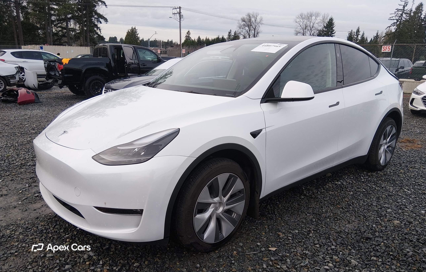 Tesla Model Y 2024
