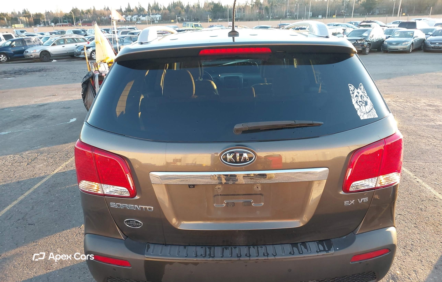 Kia Sorento 2013