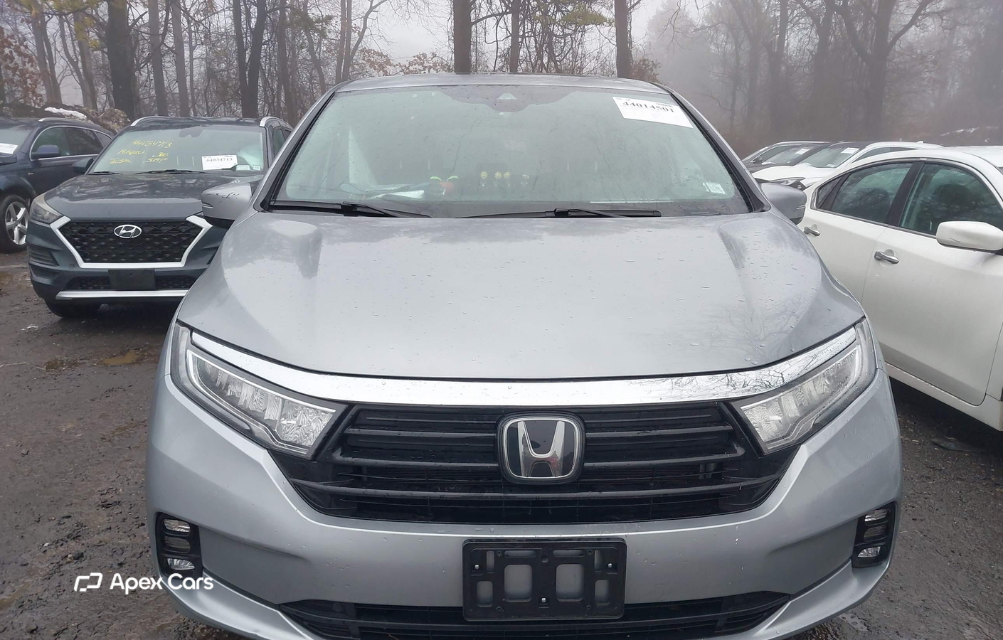 Honda Odyssey 2024