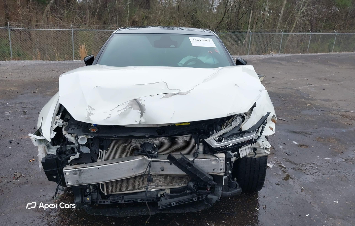 Nissan Maxima 2019