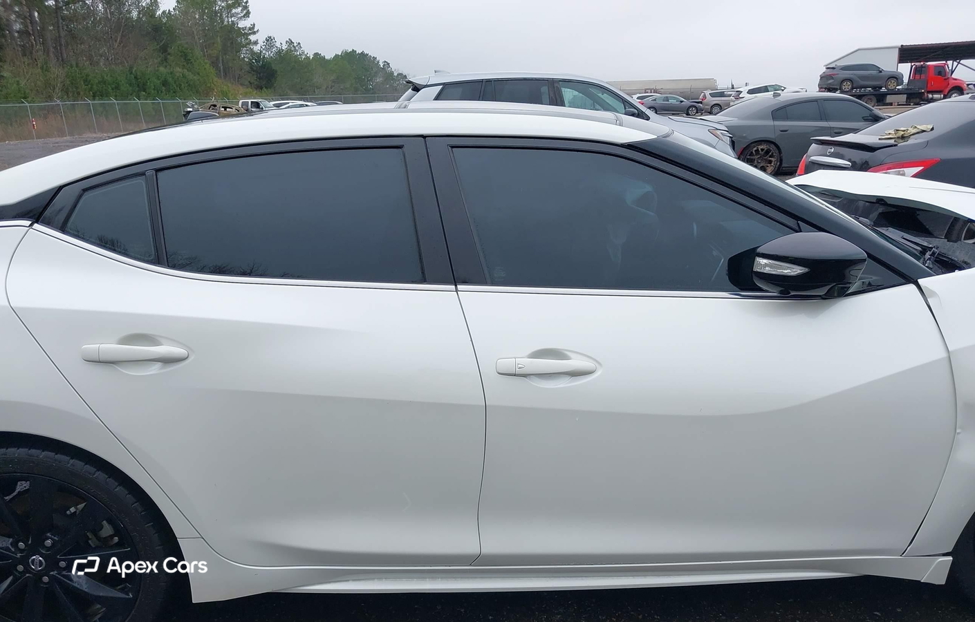 Nissan Maxima 2019