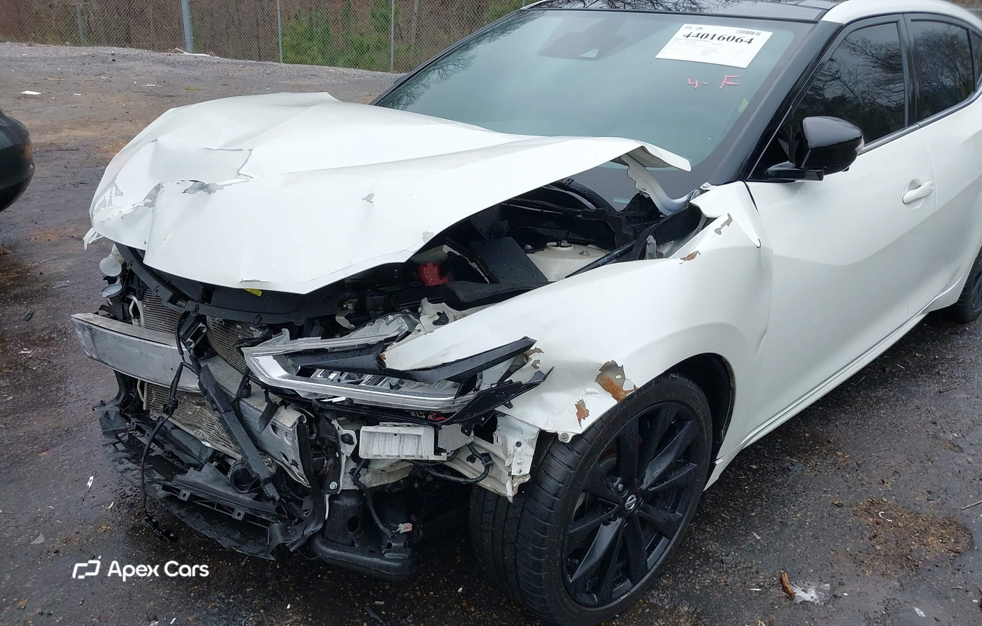 Nissan Maxima 2019