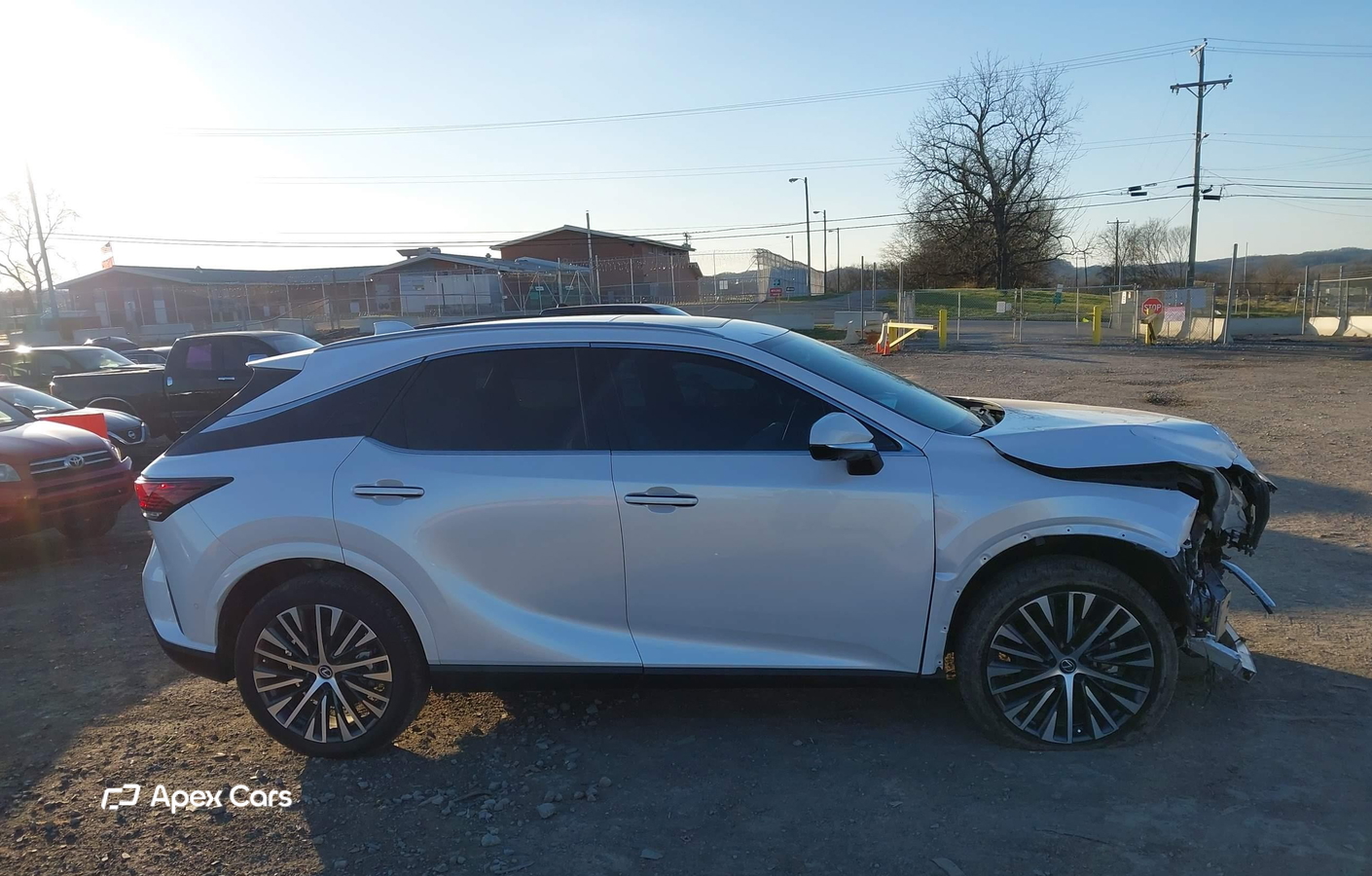 Lexus RX 2024