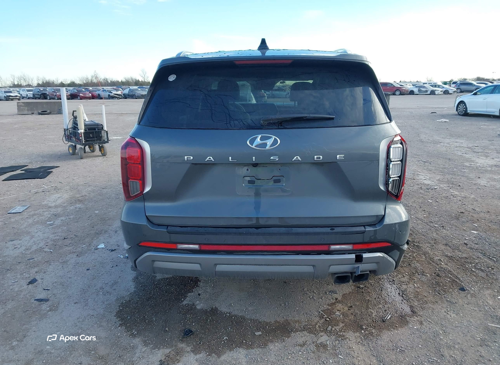 Hyundai Palisade 2024