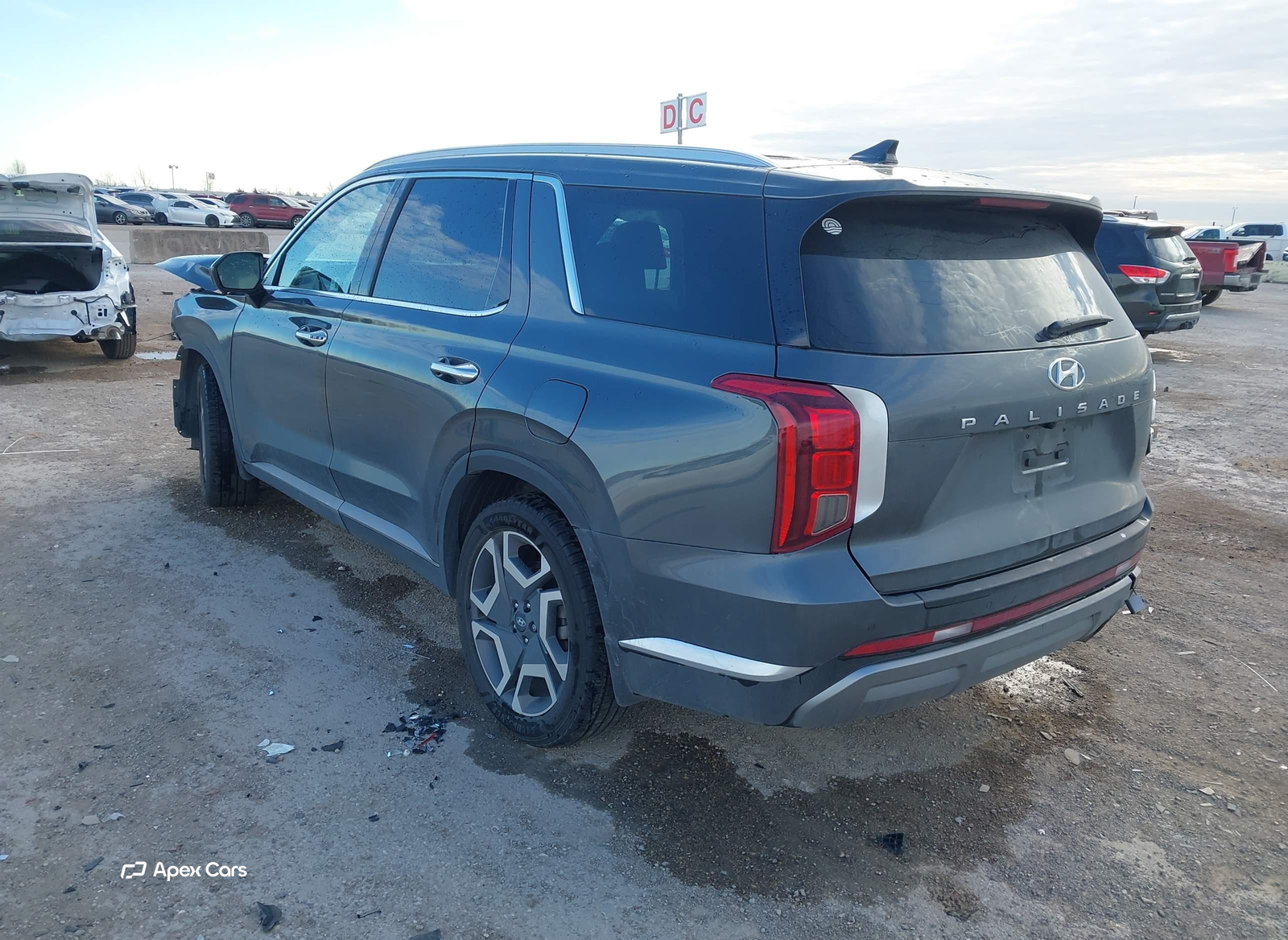 Hyundai Palisade 2024