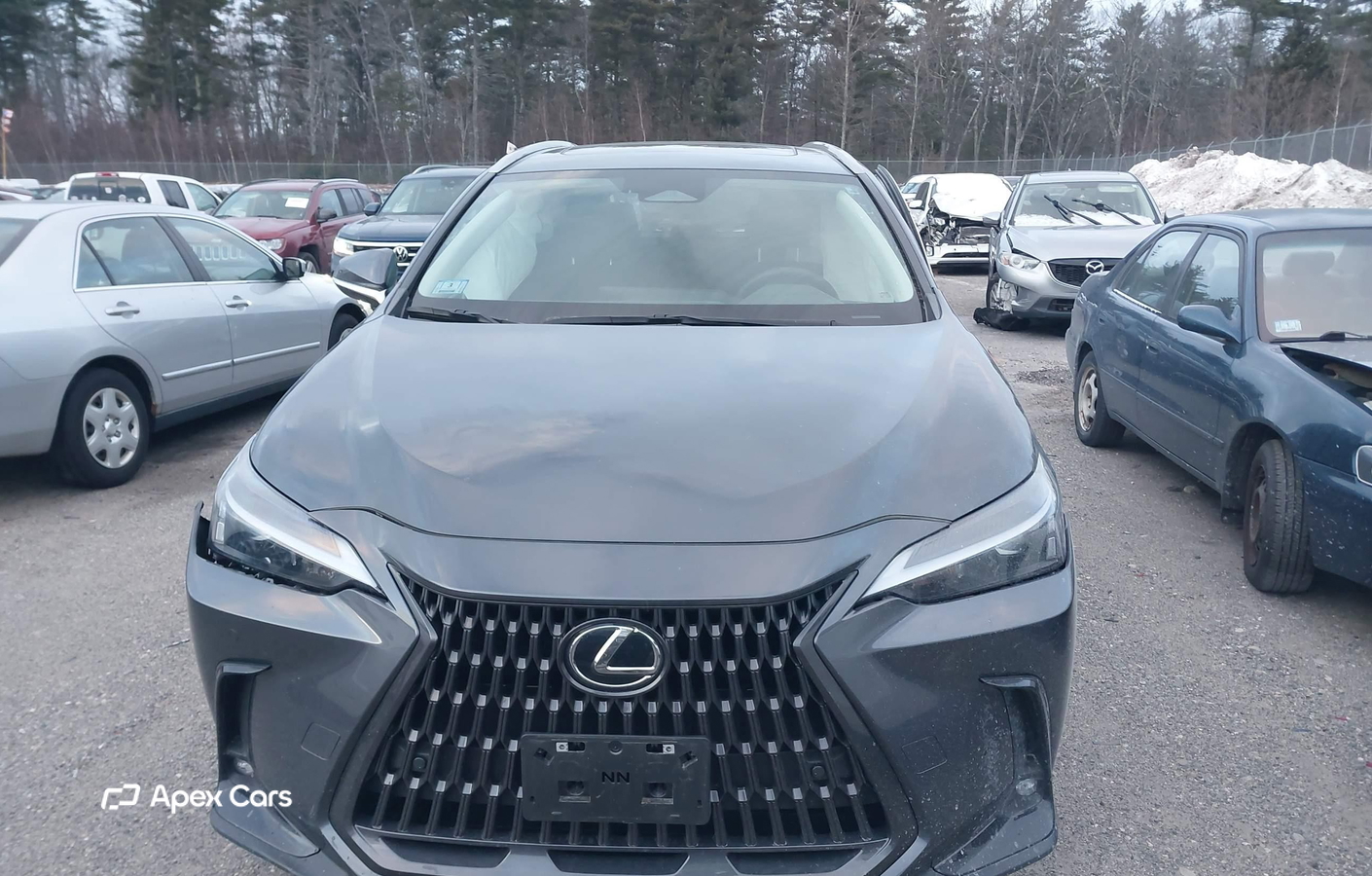Lexus NX 2023
