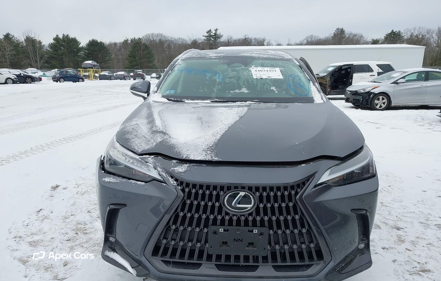 Lexus NX 2023