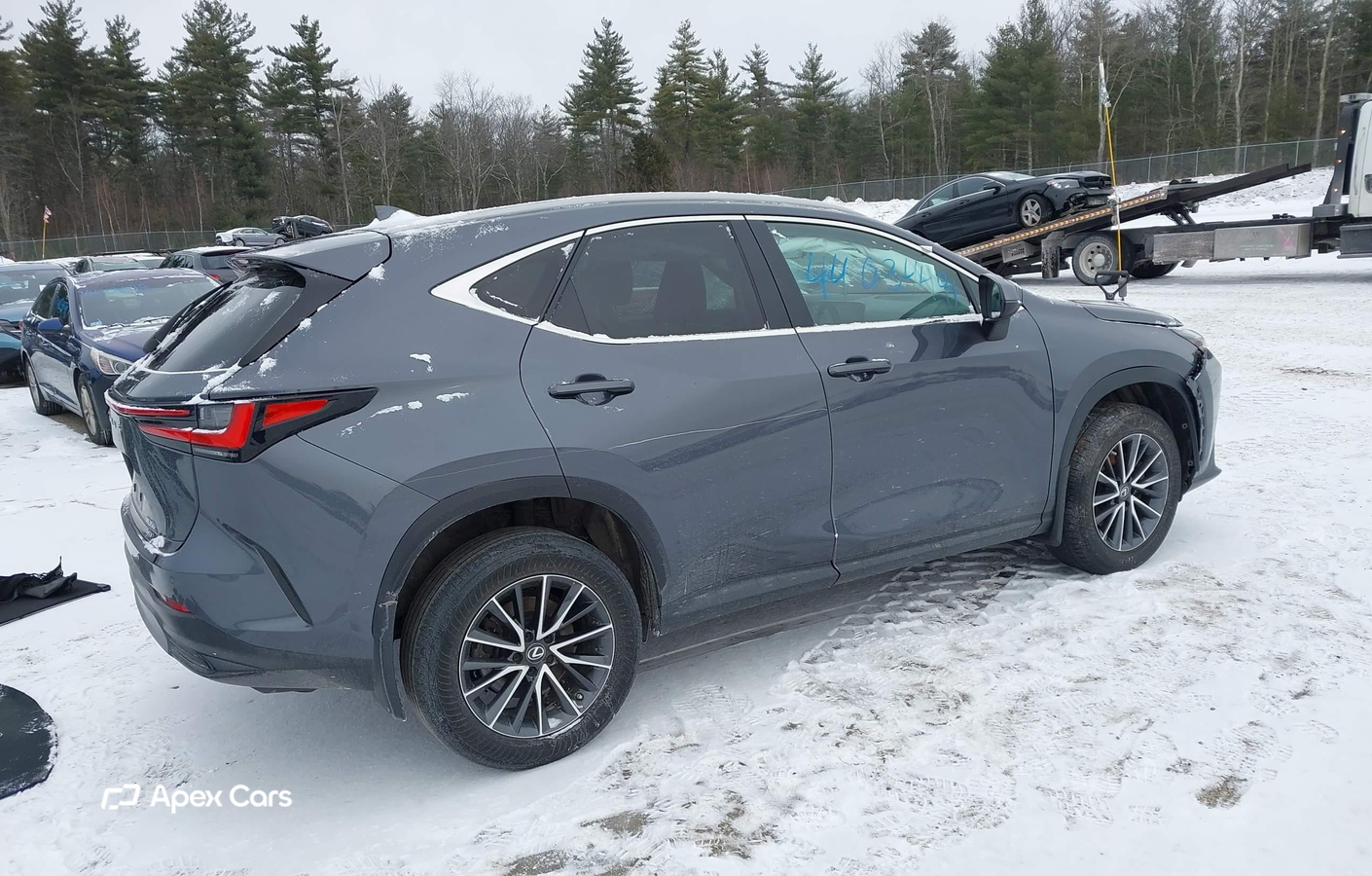 Lexus NX 2023