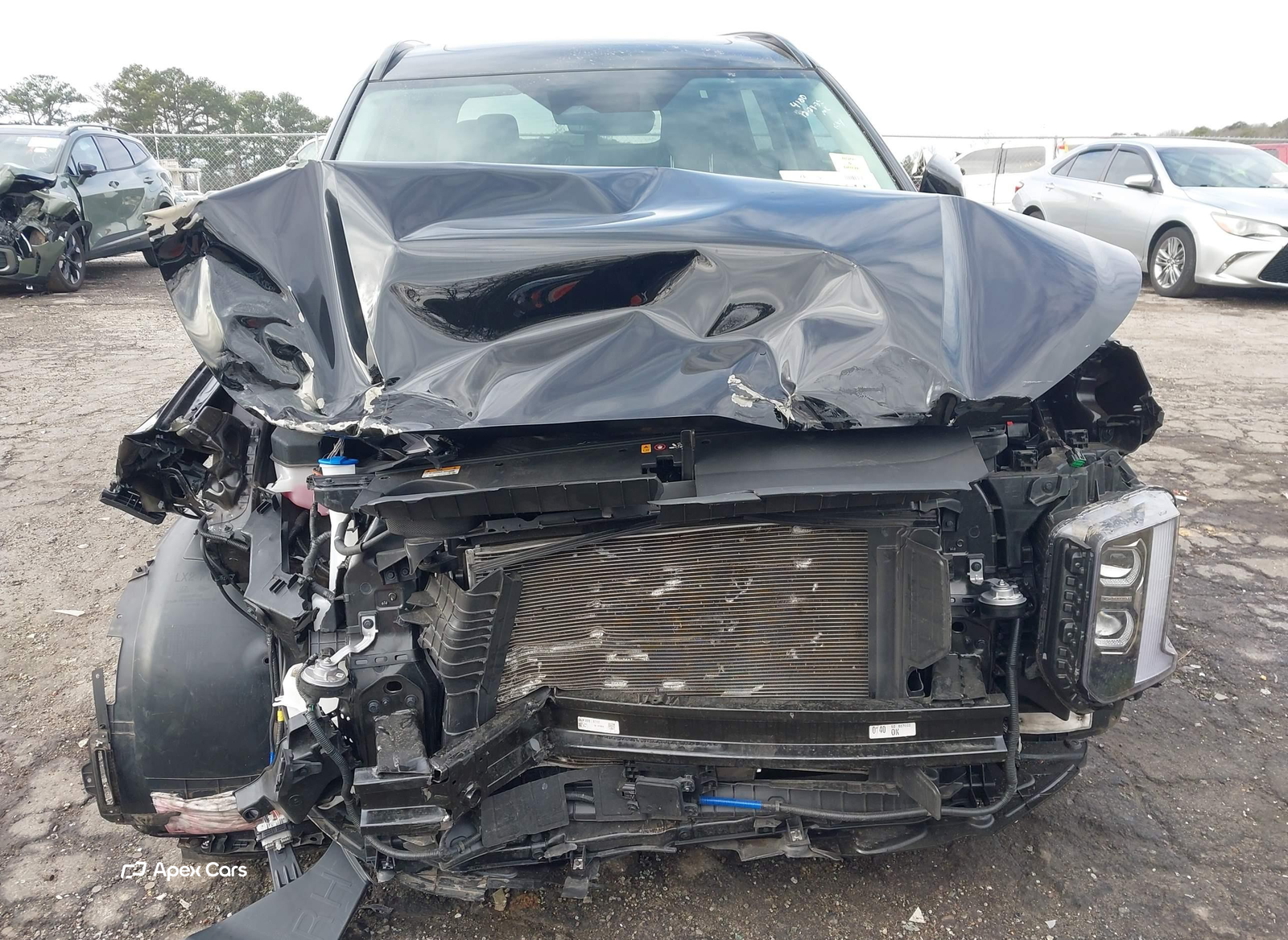 Hyundai Palisade 2025