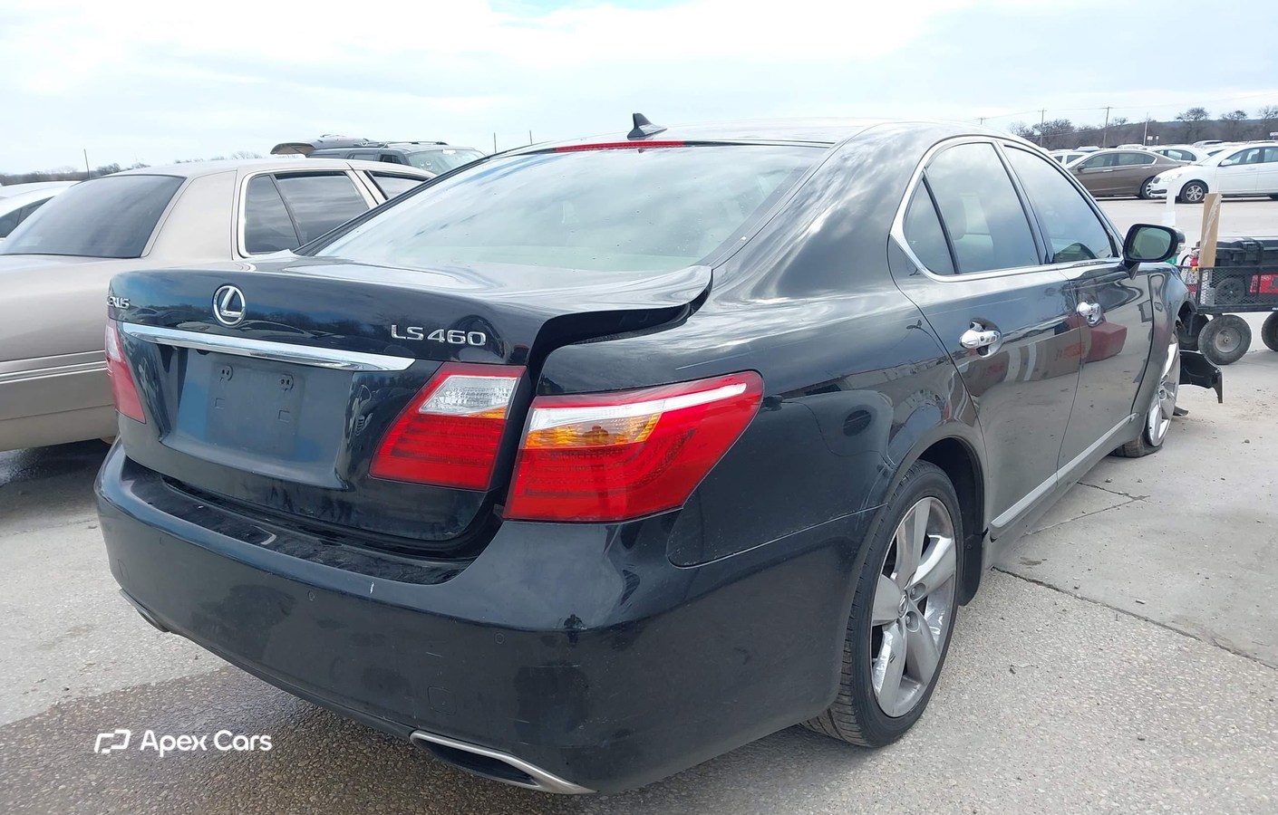 Lexus LS 2010