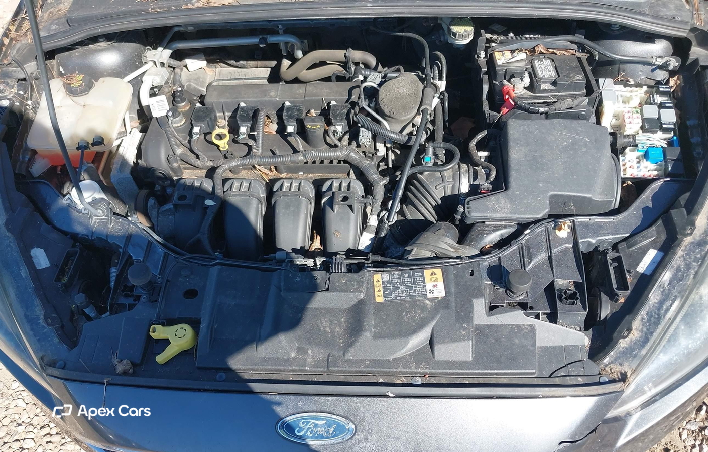 Ford Focus 2015
