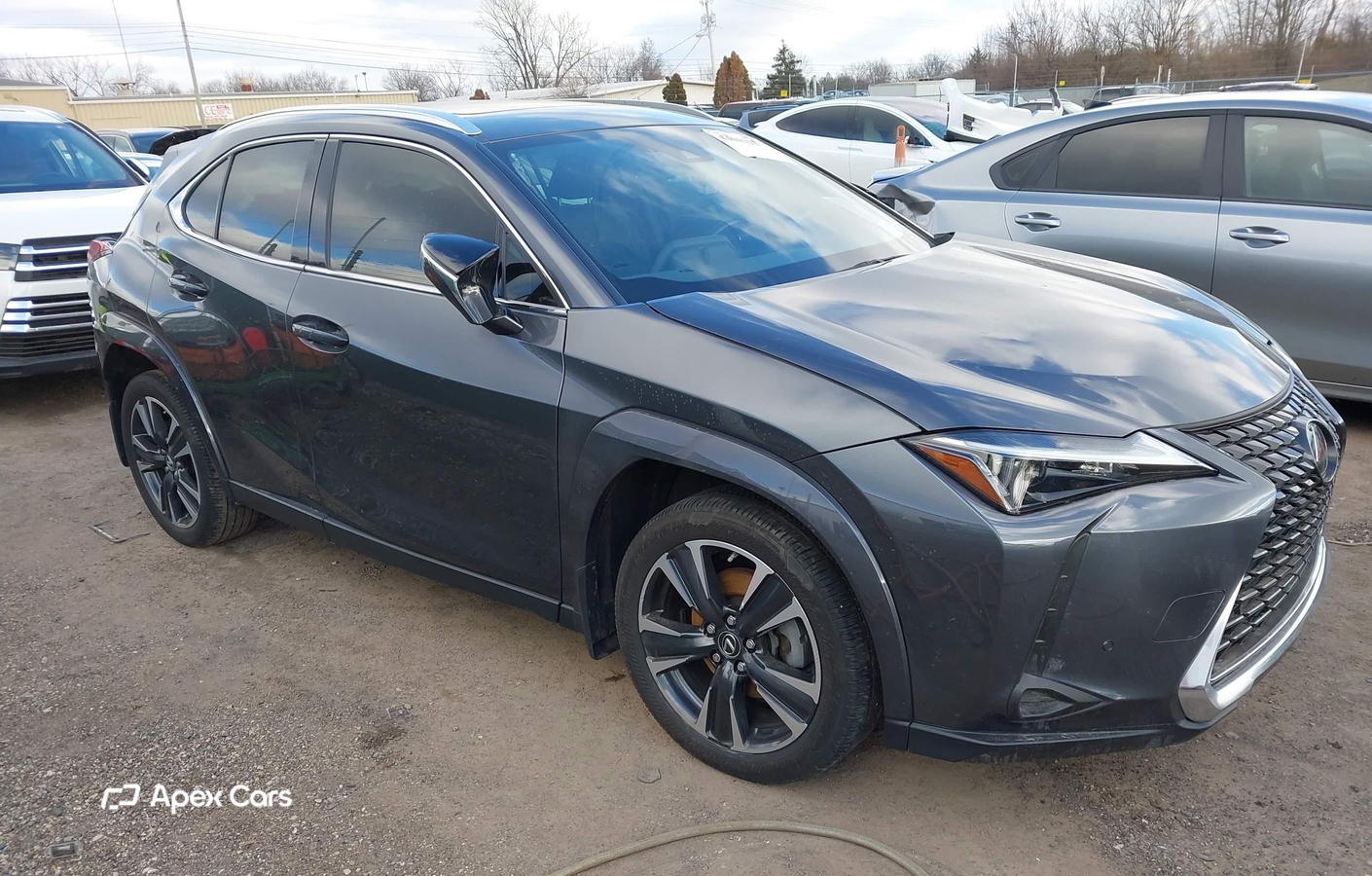 Lexus UX 2024