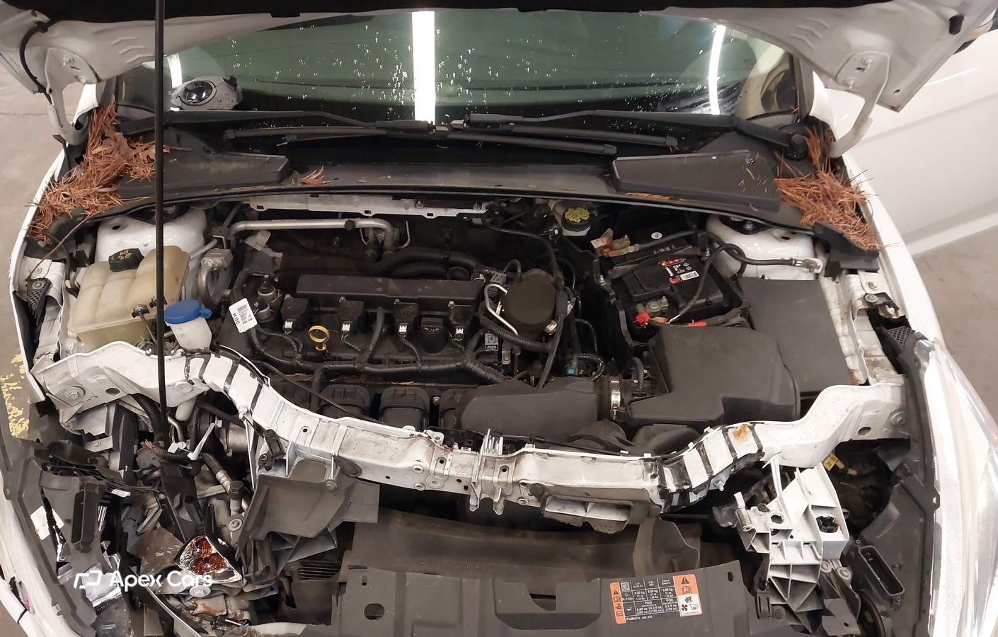 Ford Focus 2015